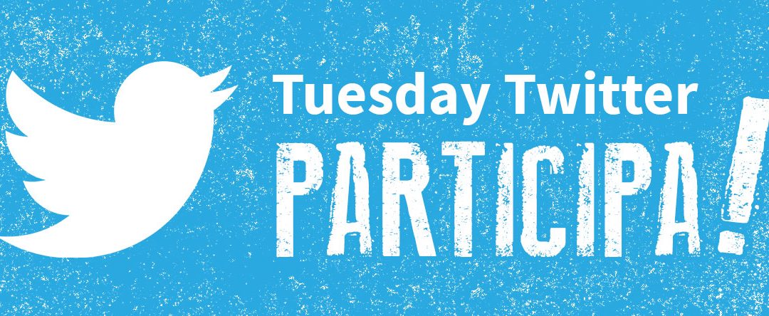 Hoje é terça-feira : Tuesday Twitter