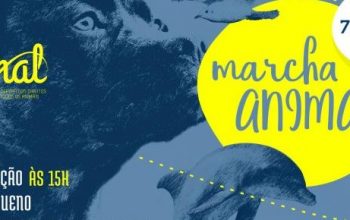 Troca na Marcha animal 2018