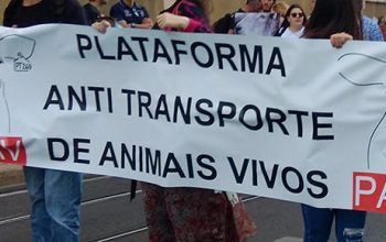 O Transporte de Animais e os Acordos de Comércio
