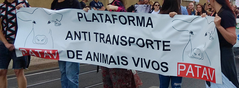 O Transporte de Animais e os Acordos de Comércio
