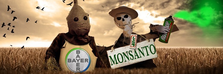E vão três – o chimbalau na Bayer