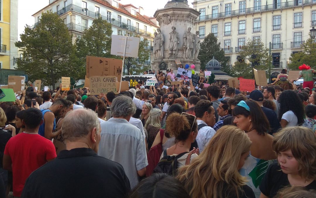 A TROCA nas Concentrações pela Amazónia