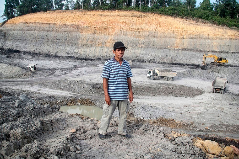 Uma floresta destruída pelo ISDS