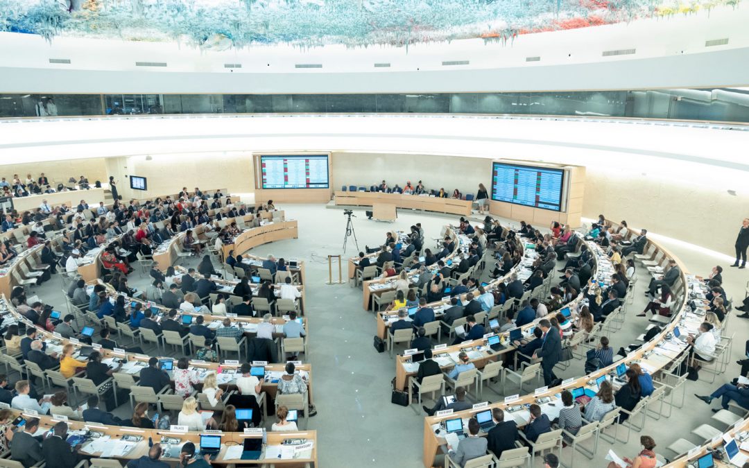 Apelo à UE para um maior empenho na negociação do Tratado Vinculativo da ONU