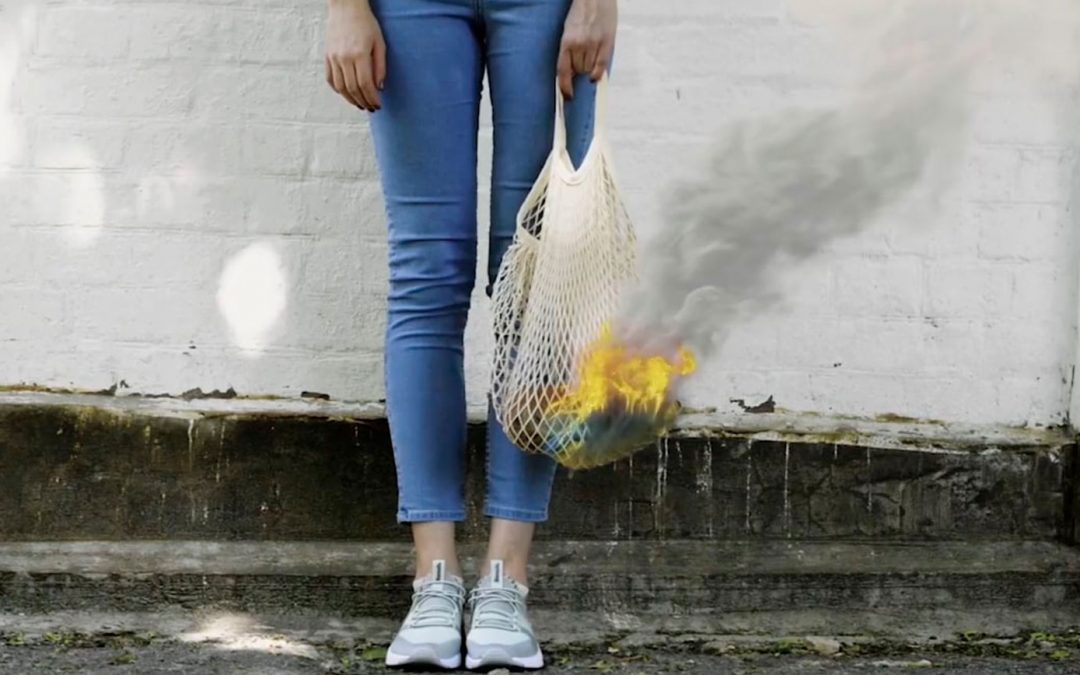 Acordo UE-Mercosul vai aumentar a desflorestação