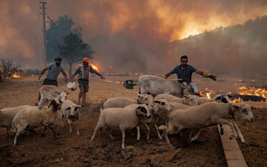 Grécia junta-se à Aliança