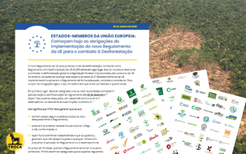 Apelo das ONG à aplicação do Regulamento de Desmatamento, dirigido aos governos da UE