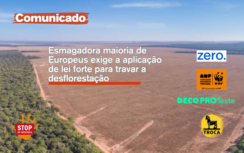 Sondagem: esmagadora maioria dos Europeus exigem lei para combater a desflorestação