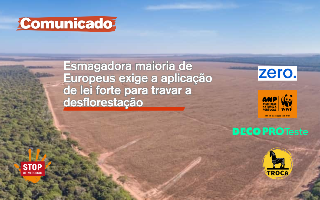 Sondagem: esmagadora maioria dos Europeus exige lei para combater a desflorestação