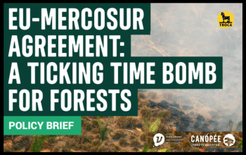 Relatório: “Acordo UE-Mercosul: Uma bomba-relógio para as florestas”